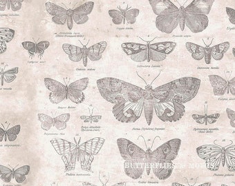 EOB ~ Free Spirit ~ Monochrome von Tim Holtz ~ Schmetterlinge ~ Pergament ~ Baumwollstoff-Bulk-Lager oder wählen Sie die Länge PWTH004-PARCHMENT