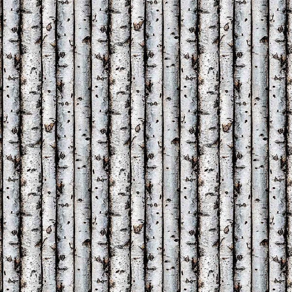 Northcott~Naturescapes First Light~Birch Trees~Light Gray~Cotton Fabric by the Yard or Select Length 26765-92