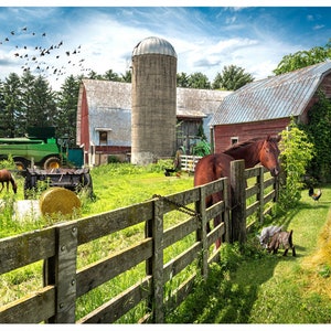 Hoffman~Sun Up to Sun Down~43.5&quot; x 30.5&quot; Farm Panel~Digital Print~Grass~Cotton Fabric by the Panel S4779-115