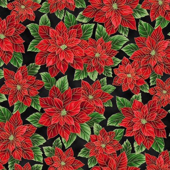 クリスマス　ロバートカフマン　ポインセチア　レッド