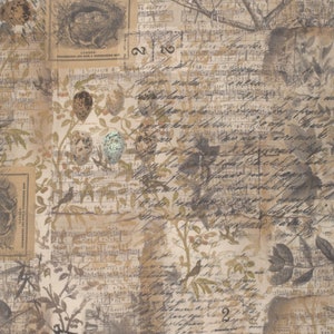 Free Spirit~Tim Holtz Eclectic Elements Foundations~Eggs and Nest~Multi~Baumwollstoff Baumwollstoff lose oder Länge auswählen PWTH031-8MLT