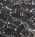 Timeless Treasures Glow in the Dark Constellations Midnight Cotton Fabric by the Yard or Select Length CG2750-MIDN