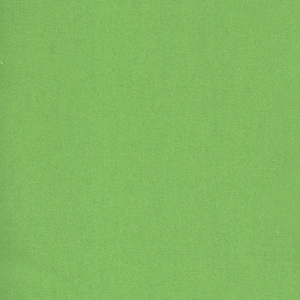 Robert Kaufman - Flannel Solids - 2 ply - Lime - Cotton Flannel Fabric by the Yard or Select Length F019-LIME