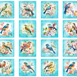 Quilting Treasures~Birdsong~36.5&quot; x 42.75&quot; Bird Picture Patches Panel~Digital~Aqua~Cotton Fabric by the Panel 30276-Q