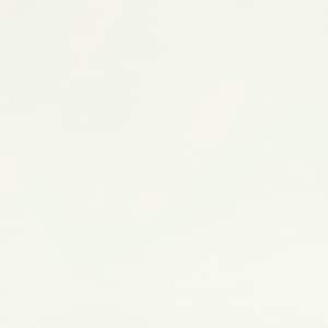 May include: A plain white background.