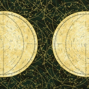 Robert Kaufman~Star Maps~70cm x 43cm Hemisphere Panel w/ Metallic Gold~Astral~Baumwollstoff im Panel SRKM21464364