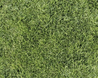 Light Green 250-LIG by Elizabeth/'s Studio 100/% Cotton Quilting Fabric Yardage Prairie Grass
