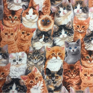 EOB~Elizabeths Studio~Mascotas adorables~Gatos empaquetados~Multicolor~Tela de algodón cortada a medida 3802E-MLT