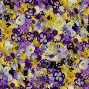 EOB~Maywood Studio~Hand Picked First Light Painted Daisies Digital Yellow/Purple~Cotton Fabric by the Yard or Select Length D10151M-SV