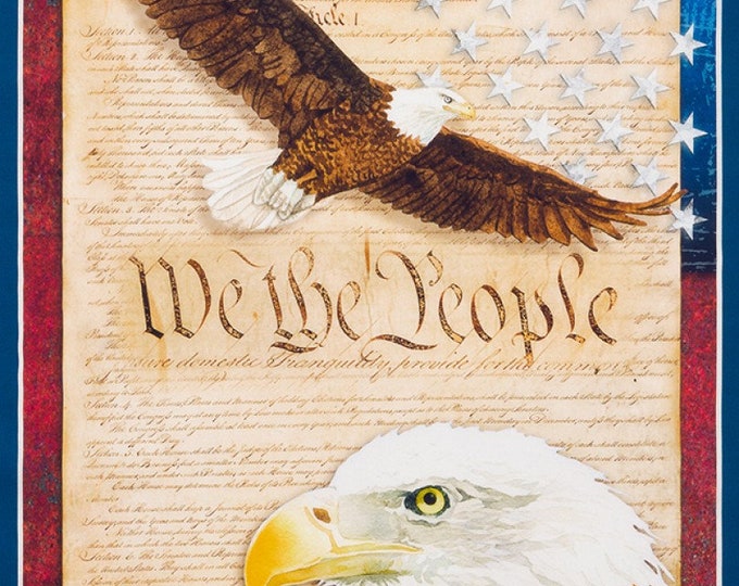 Robert Kaufman Patriots 24 X 43 Patriotic Digital Print Panel Americana