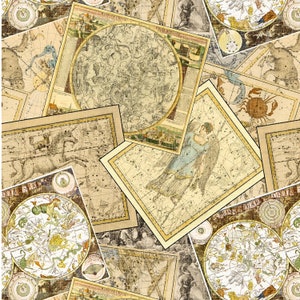 Windham~Stargazer~Sternkarte~Digitaldruck~Multi~Baumwollstoff Baumwollstoff Meterware oder Länge auswählen 51756D-X