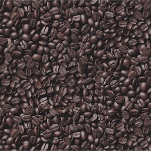 Elizabeths Studio~Food Festival~Coffee Beans~Coffee~Cotton Fabric by the Yard or Select Length 643E-ESPRESSO