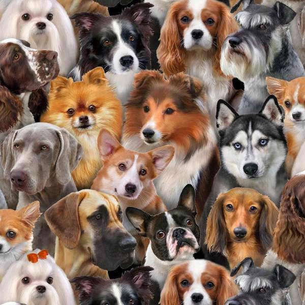 Elizabeth's Studio~Dog Breeds~Dog Breeds Allover~Cotton Fabric by the Yard or Select Length 1314E-BLK