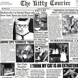 May include: A black and white newspaper with a humorous article about a cat elected mayor of a town. The headline reads "Marlowe the Cat Elected Mayor of New York Town for Sixth Term!" The article is accompanied by a photo of a cat wearing glasses. Other articles include "Fat Cat Loses 25lbs!" and "Vampire Cats Terrorize Town!" The newspaper is titled "The Kitty Courier".
