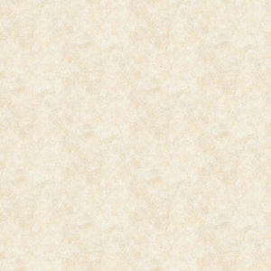 May include: A seamless, textured background in a light beige color. The surface has a mottled appearance with subtle variations in tone, creating a soft, aged effect. The overall aesthetic is neutral and versatile.