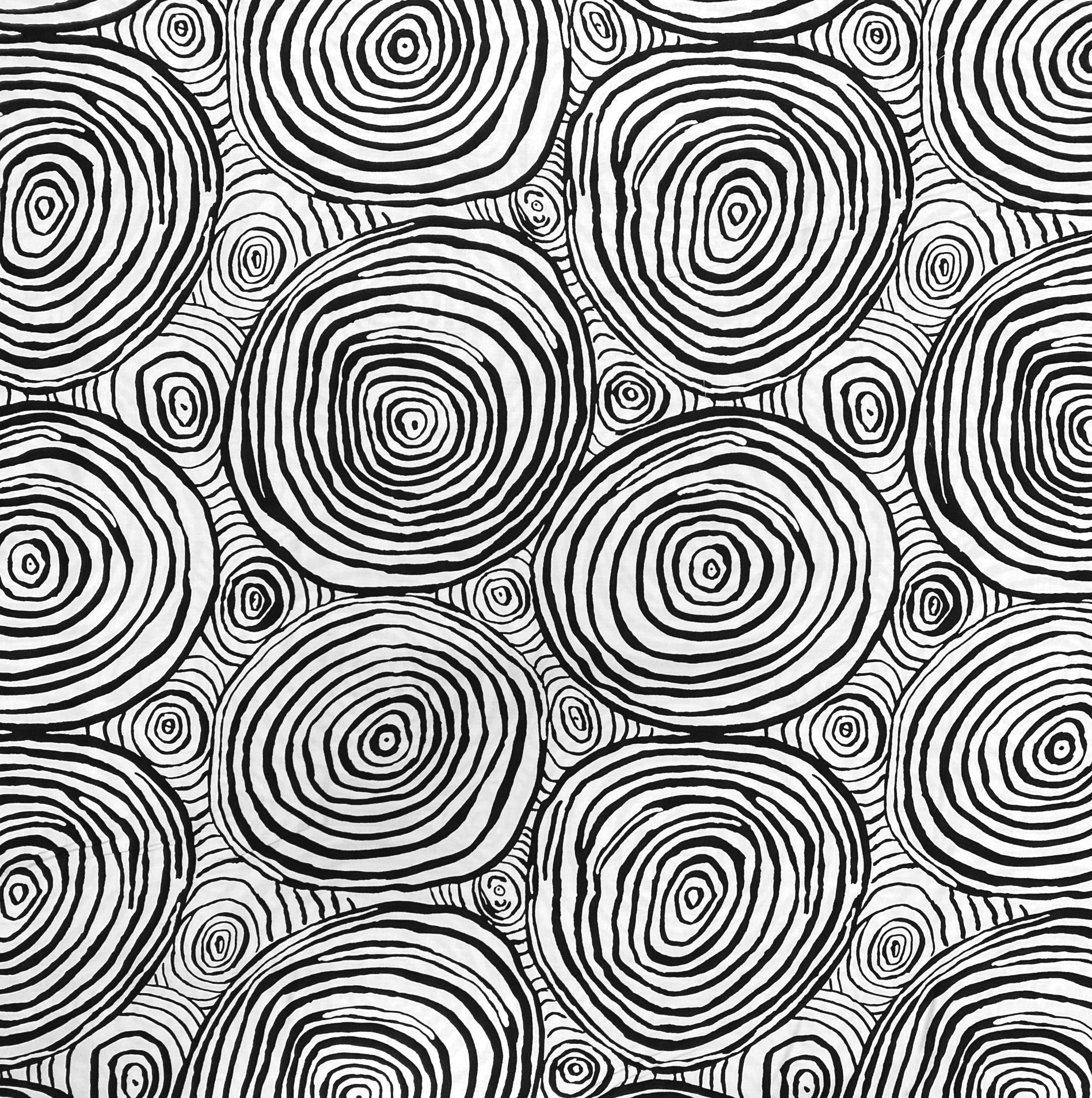 EOB~Free Spirit~Kaffe Fassett Collective~108" Onion Rings Backing~Black/White~Cotton Fabric by the Yard or Select Length QBBM001-BLACK