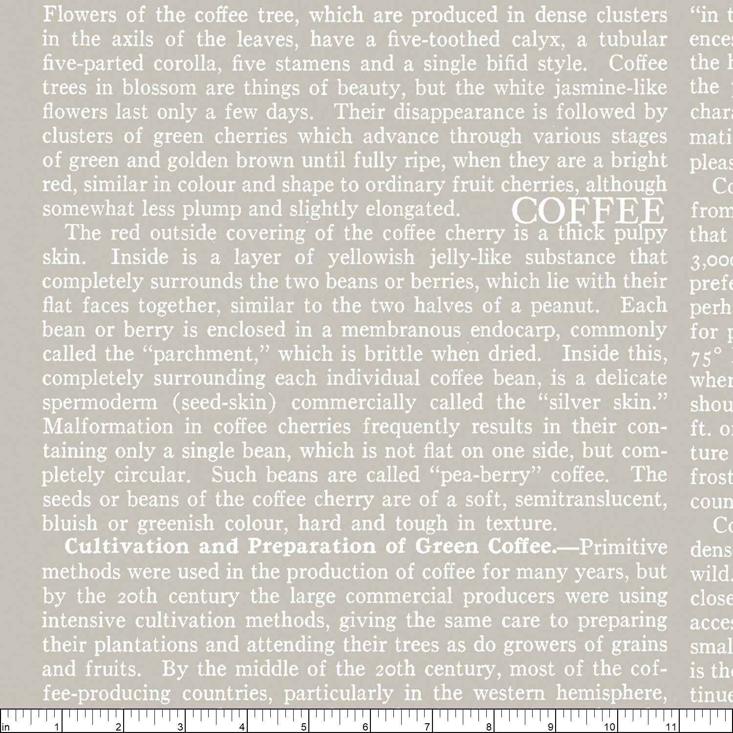 Riley Blake Coffee Chalk Text Taupe Cotton Fabric By Etsy Ireland