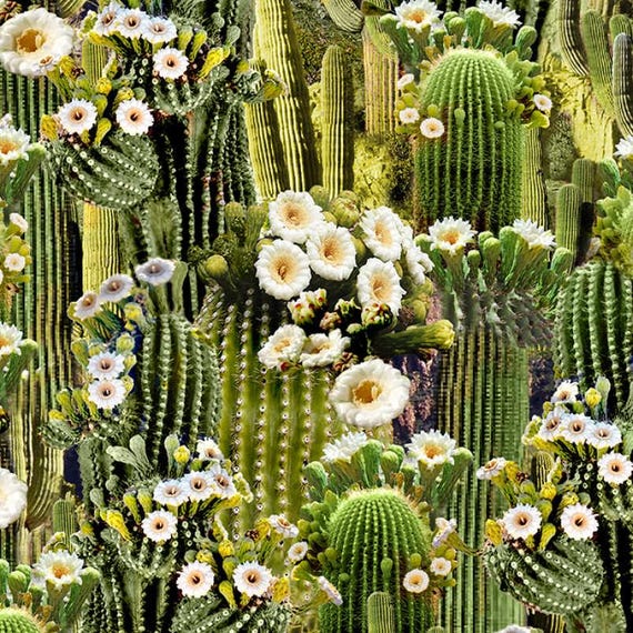Cactus✩ Timeless Treasures Southwest Sunset Flowering Saguaro Cactus