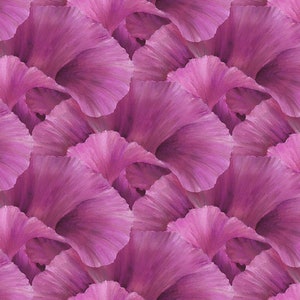 Northcott - Lush - Iris Petal - Digital Print - Magenta - Cotton Fabric by the Yard or Select Length DP24192-28