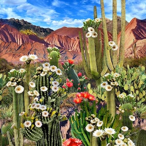 Timeless Treasures~Southwest Sunset~24.5&quot; Scenic Cactus Panel~Digital Print~Multi~Cotton Fabric by the Panel CD3344-MULTI