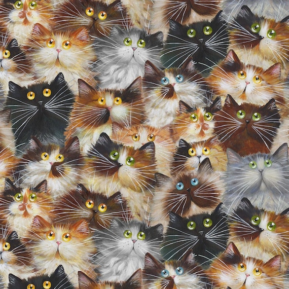Windham 108" Quilt Back Cat Pack Fur Cotton Backing Fabric by the Yard 54281W-1DES