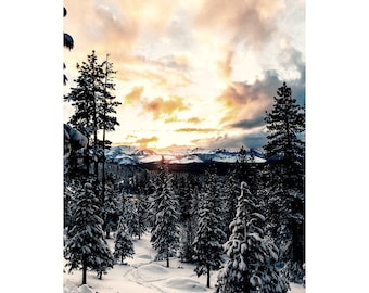 Hoffman Call Of The Wild 28.5" x 43.375" Snowy Forest Scene Panel Dawn Fabric by the Panel X5570-112