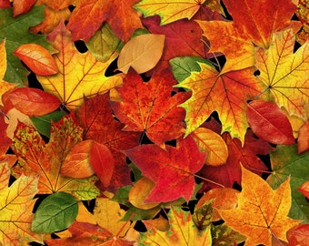 Elizabeths Studio Landscape Medley Fall Leaves Small Multi Cotton Fabric by the Yard or Select Length 478E-MLT