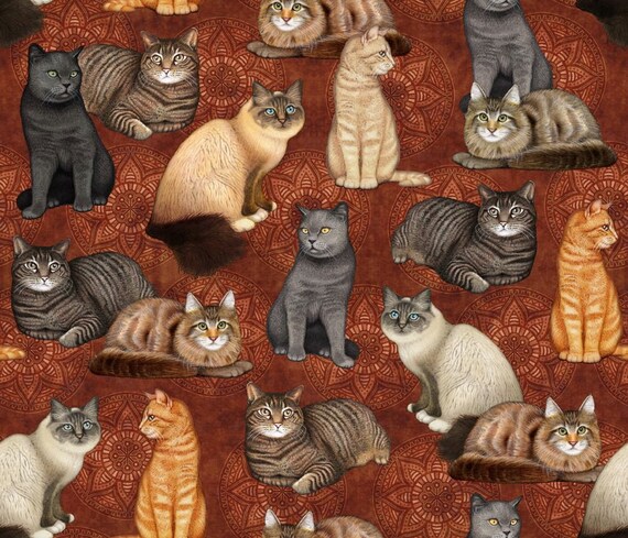 Fabric quilt one quarter  1/4 yard flannel cats names 
