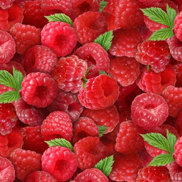 Elizabeth's Studio - Berry Good - Good Raspberries - Cotton Fabri…