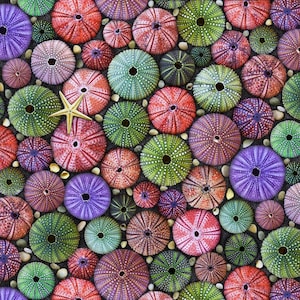 Elizabeths Studio~Landscape Medley~Sea Urchins~Multi~Cotton Fabric by the Yard or Select Length 685E-MULTI