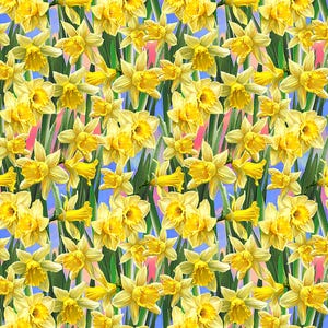 Timeless Treasures~Just Hatched~Daffodils~Yellow~Cotton Fabric by the Yard or Select Length CD3253-DAFFODIL
