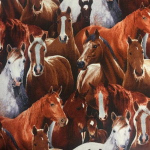 Elizabeths Studio~Farm Animals~Horses~Black~Cotton Fabric by the Yard or Select Length 433E-BLK