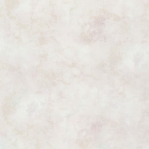Timeless Treasures~Solid-ish by Kimberly Einmo~Tonal Blender~Sandstone~Cotton Fabric by the Yard C6100-SANDST