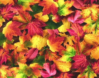 Tela de algodón EOB Robert Kaufman Imaginings Leaves Nature cortada a medida o seleccione longitud SRKD20910268