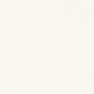 May include: A solid off-white canvas with a subtle textured surface. The canvas is evenly lit, showing a consistent color and texture across the entire surface. The image is a close-up of the canvas.