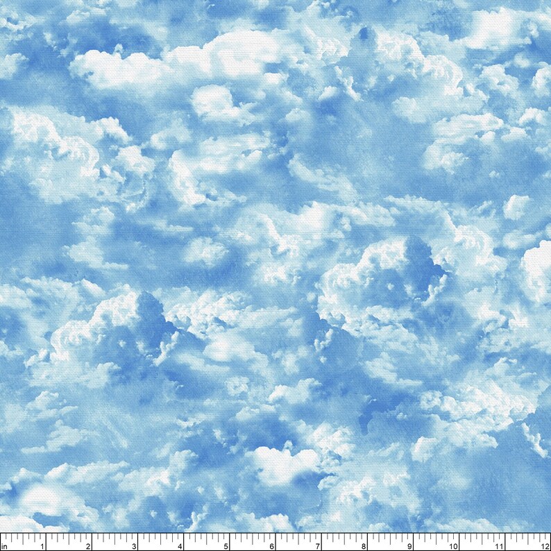 EOBPaintbrush StudioBarnyard BlendersCloudsLight BlueCotton Fabric by the Yard or Select Length 120-21405 image 2