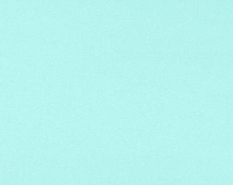 Shannon Cuddle® 3 58/60" Minky Solid 3mm Pile Aruba Polyester Minky Fabric by the Yard or Select Length C3-ARUBA