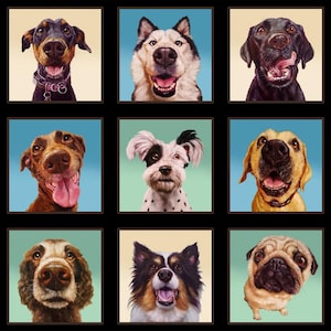 May include: A collage of 12 different dog breeds, each with a unique expression and personality. The dogs are arranged in a grid pattern, with each dog's head filling the square. The background is a mix of light blue, light green, and beige.