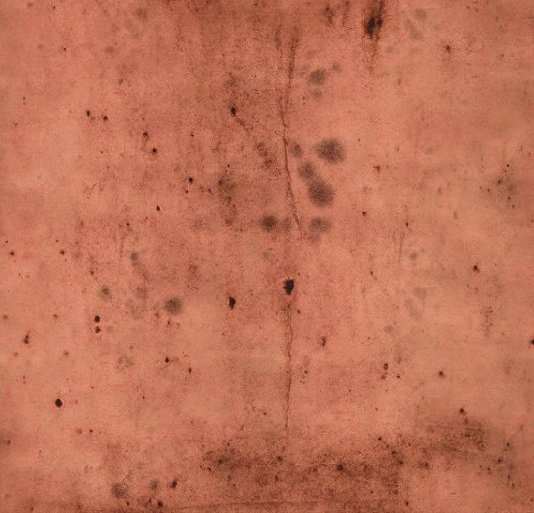Free Spirit Tim Holtz Eclectic Elements Provisions Rose Cotton