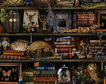 Timeless Treasures Apothecary Witch Bookshelf Digital Brown Cotton Fabric by the Yard or Select Length CD2877-BROWN
