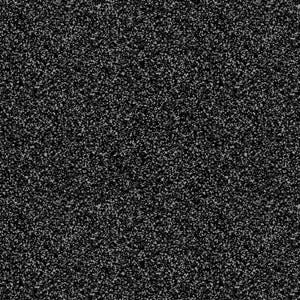 May include: A black and white textured background with a grainy, speckled appearance.