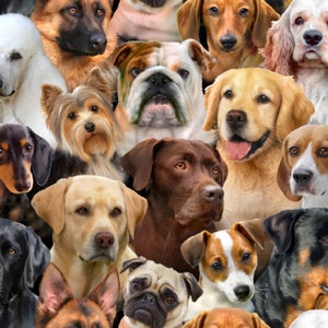 May include: A collage of various dog breeds, including a German Shepherd, Bulldog, Golden Retriever, Labrador Retriever, Yorkshire Terrier, Dachshund, Pug, Jack Russell Terrier, and Beagle. The dogs are all looking at the camera with different expressions.