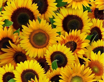 Elizabeths Studio~Sunflowers~Packed Sunflowers~Yellow~Cotton Fabric by the Yard or Select Length 487E-YLW