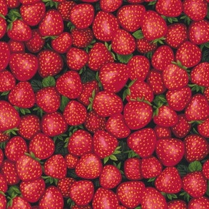 EOB~Paintbrush Studio - Farmer Johns Garden Party - Strawberries - Red - Cotton Fabric by the Yard 120-13271