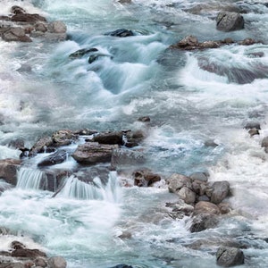 Elizabeths Studio~Landscape Medley~Rapids~Blue~Cotton Fabric by the Yard or Select Length 552E-BLU