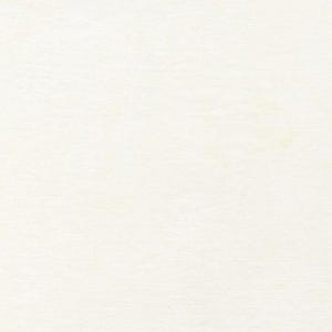 May include: A close-up shot of a textured, off-white paper surface. The paper has a subtle, uneven texture, with slight variations in color. The overall appearance is clean and minimalist, suggesting a blank canvas or a background.