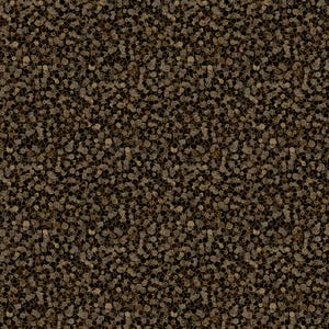 May include: A close-up view of a textured surface with a pattern of small, irregular, dark brown and tan circles. The circles are densely packed, creating a speckled appearance. The background is a dark brown color.