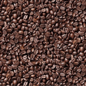 Elizabeths Studio~Food Festival~Coffee Beans~Coffee~Cotton Fabric by the Yard or Select Length 643E-COFFEE