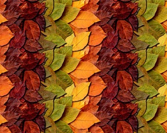 May include: A seamless pattern of autumn leaves in shades of red, orange, yellow, and green. The leaves are layered and overlapping, creating a textured and colorful design. The image evokes a sense of fall and nature.