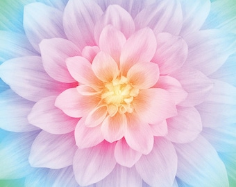 Hoffman~Dream Big~43&quot; x 43&quot; Dahlia Floral Panel~Digital Print~Opal~Cotton Fabric by the Panel P4389-132